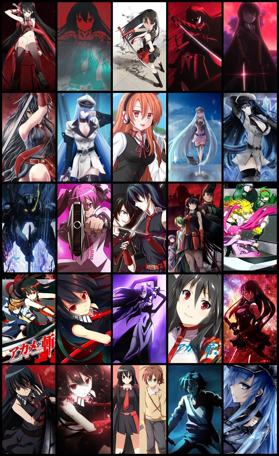 Featured image of post Akame Ga Kill Background Phone