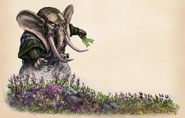 Featured image of post Female Loxodon Druid