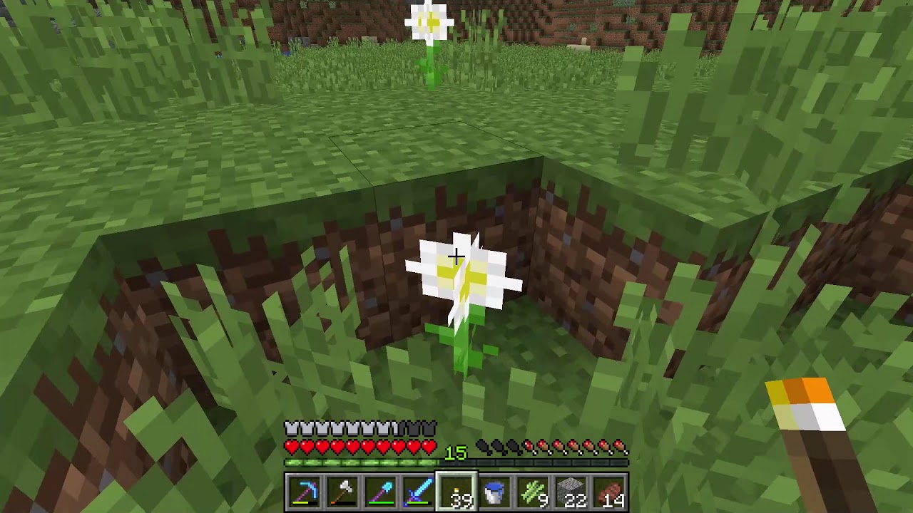 Featured image of post Oxeye Daisy Minecraft 1.16