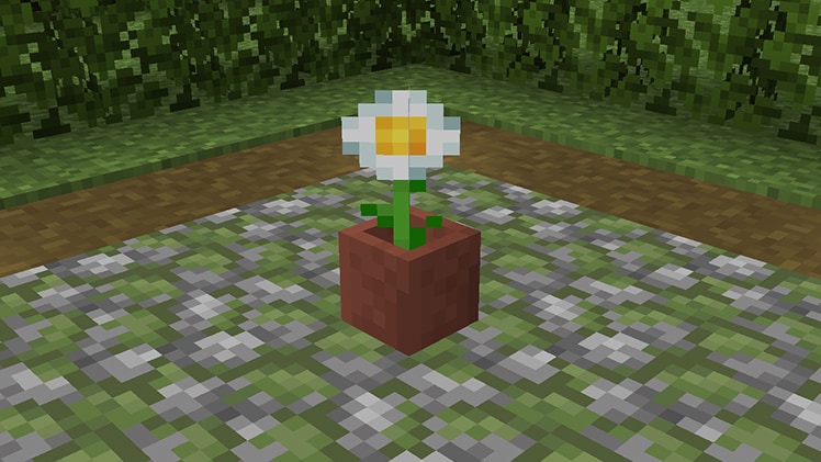 Featured image of post Oxeye Daisy Minecraft Flowers